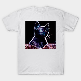 Curious Kitten T-Shirt